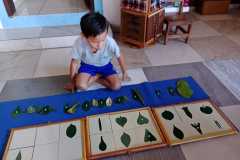 WhatsApp-Image-2025-10-23-at-11.09.40